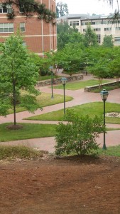 Shayla at UNC campus view 2
