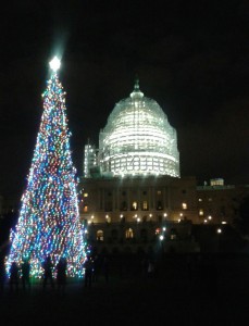 Another capitol tree