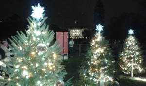 view of white house through trees